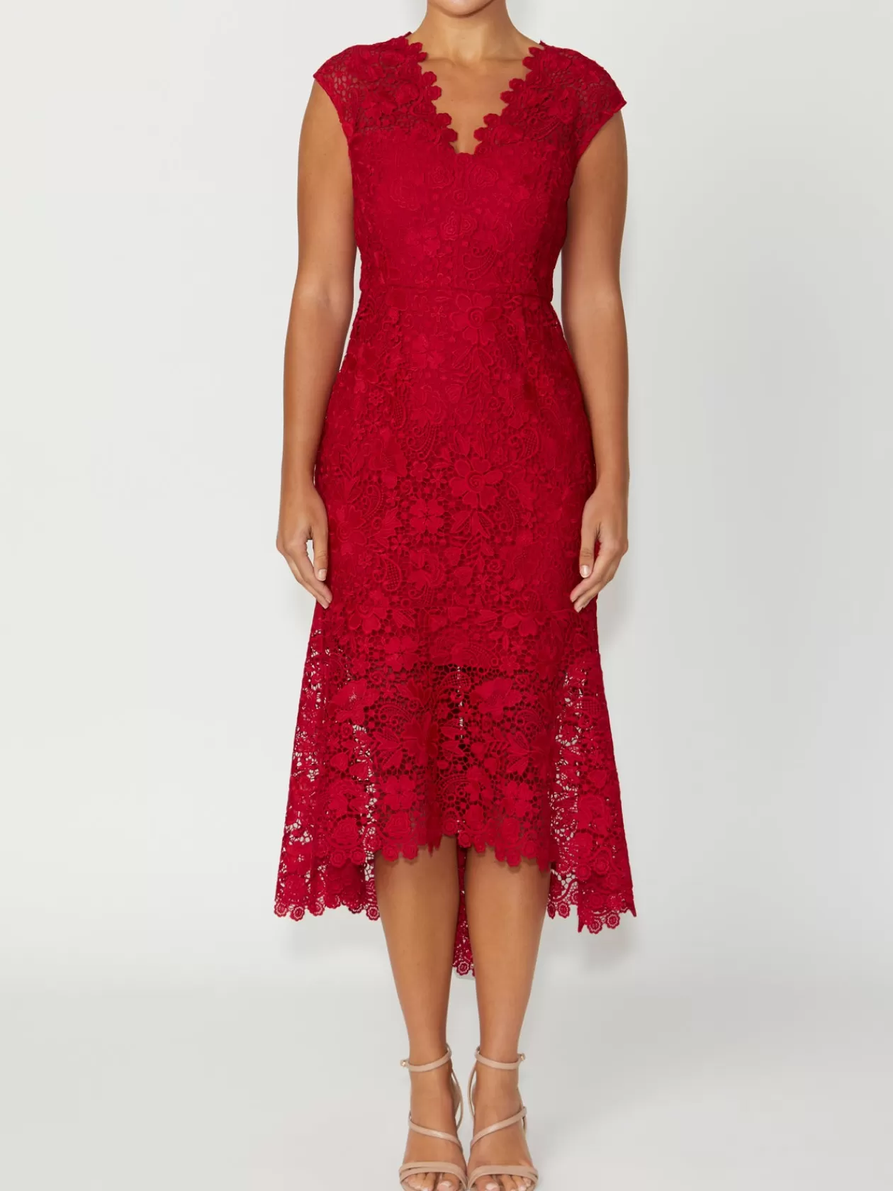 Event Dresses | Mother Of The Bride<Anthea Crawford Georgina Lace Dress Red