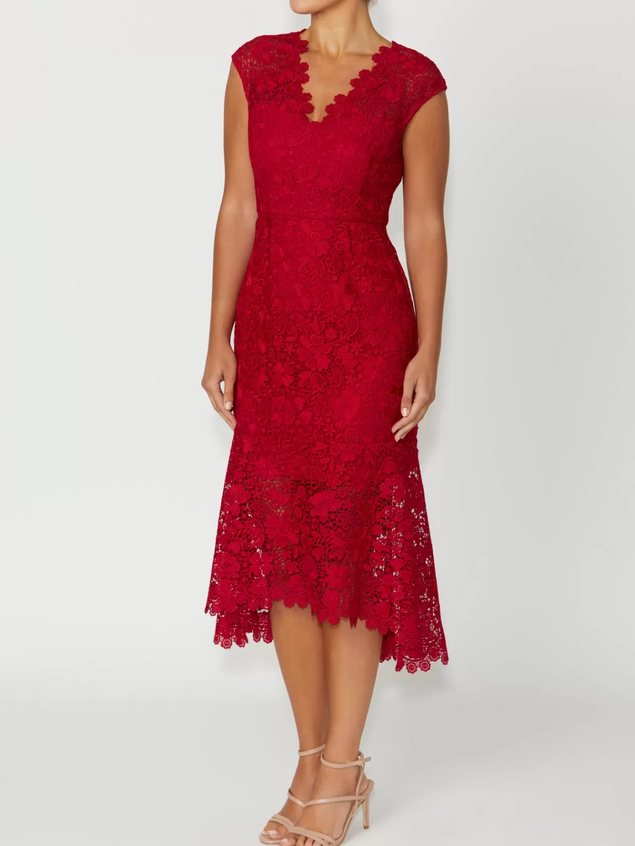 Event Dresses | Mother Of The Bride<Anthea Crawford Georgina Lace Dress Red